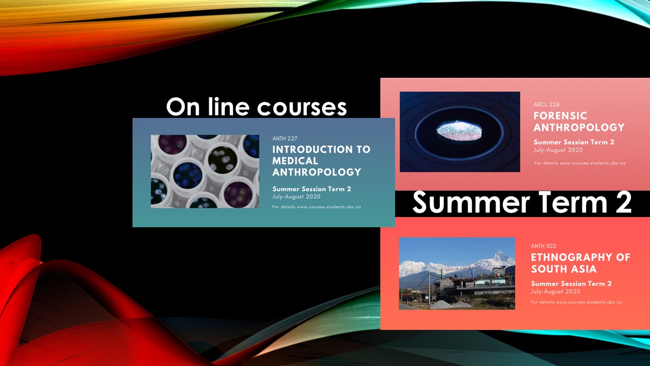 Summer Term 2 online courses Department of Anthropology