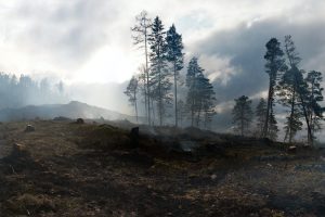 Disaster Resilience Research Network receives funding from BC Ministry
