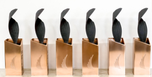 The Canadian Archaeological Association Working Group on Unmarked Graves Receives GG Innovation Award