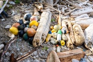 Haunting the seas: the legacy of ghost gear pollution in marine environments